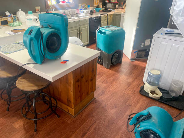 Best Water damage restoration experts  in Patton Village, TX