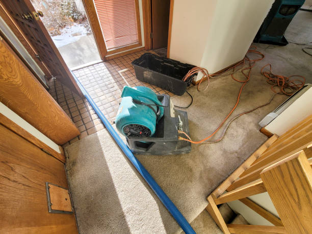 Best Water damage restoration near me  in Patton Village, TX