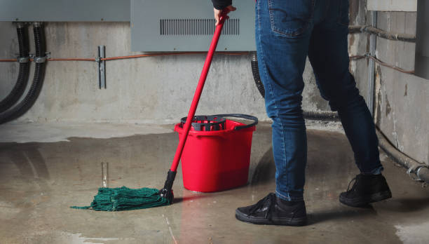 Best Water damage cleanup near me  in Patton Village, TX