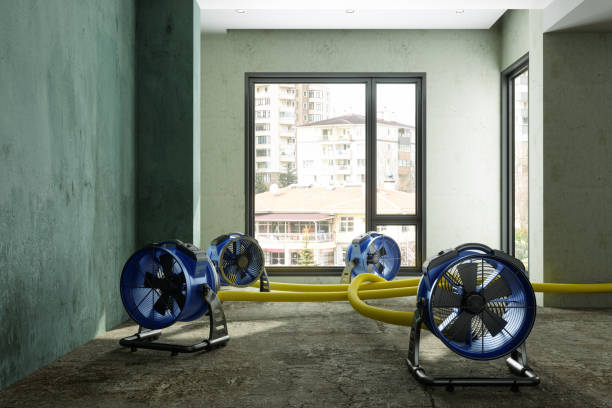 Best Water damage restoration near me  in Patton Village, TX